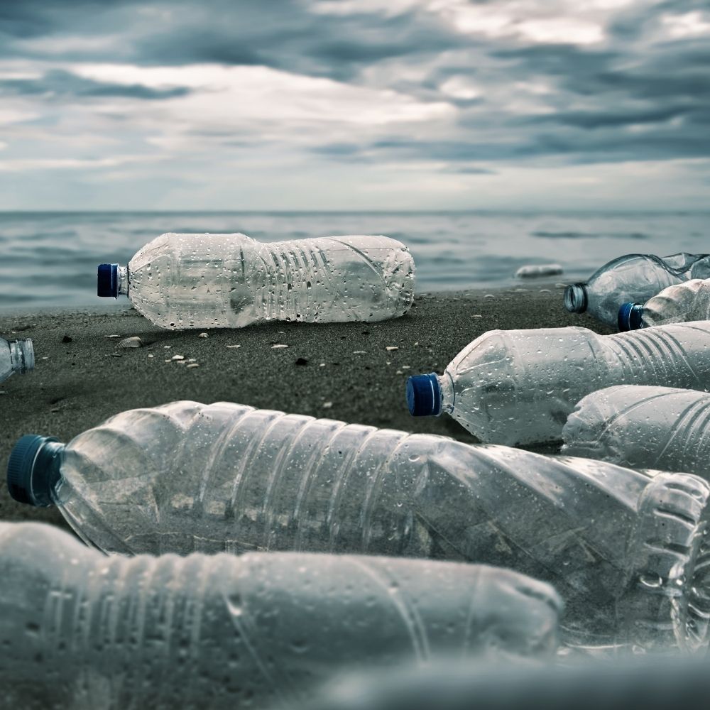 The disadvantages of plastic bottles Are disposable bottles harmful