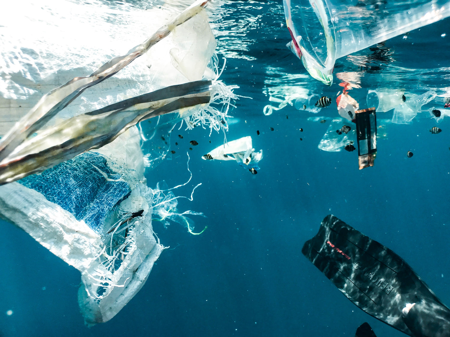 5 makkelijke tips om minder plastic te gebruiken